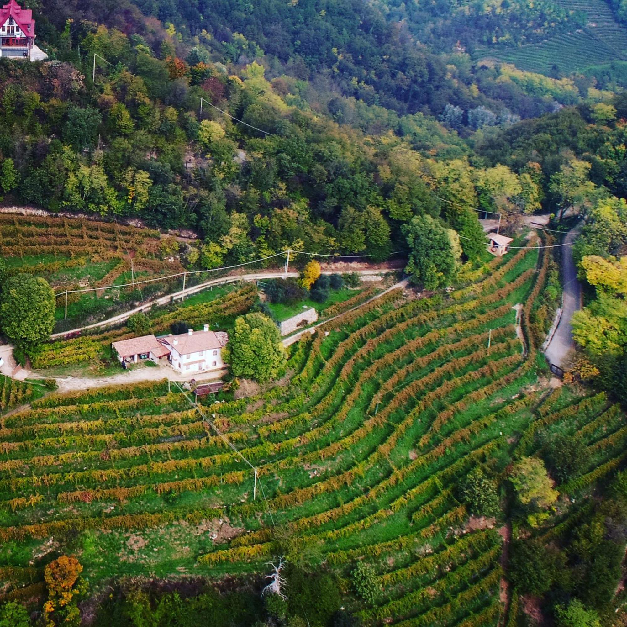 Rustico Costa D'Oro Βίλα Farra di Soligo Εξωτερικό φωτογραφία